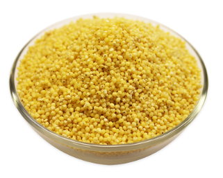 White Millet Grain